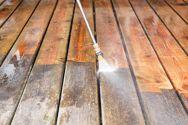 Best Affordable Pressure Washing  in South Lyon, MI